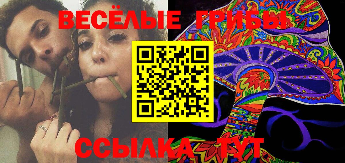 Воркута  Псилоцибиновые грибы MAGIC MUSHROOMS  Галлюциногенные грибы ЛСД  Вход с VPN 